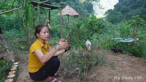 越南山区生活日常,独居女孩阿贤用竹筒装扮花园