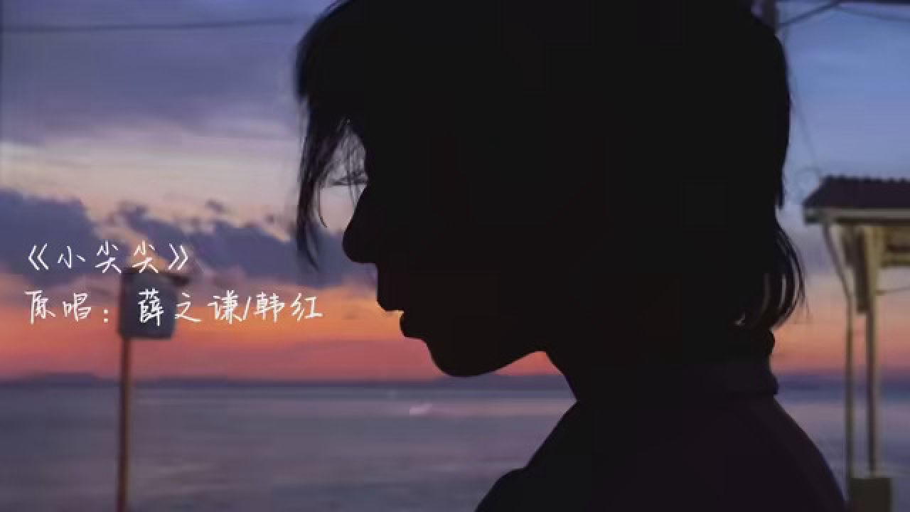 薛之谦 #小尖尖 #翻唱