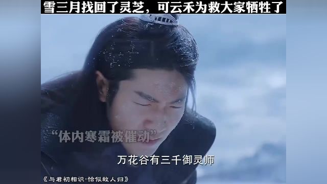 #恰似故人归 雪三月找回了灵芝,可云禾为救大家牺牲了