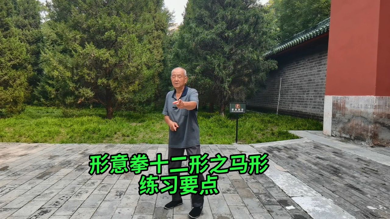 形意拳十二形之马形练习要点:形意拳张发智之功夫(71)