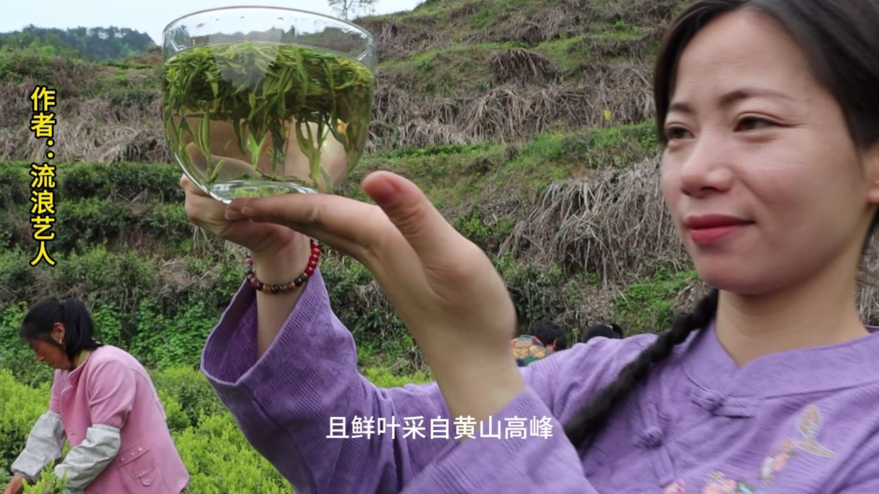 歙县许村毛峰视频