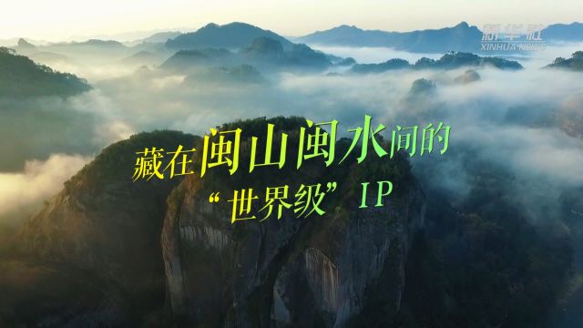 藏在闽山闽水间的“世界级”IP