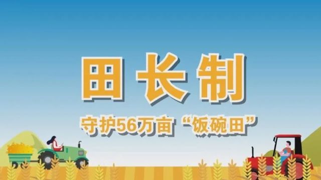 “田长制”来啦!你知道什么是“田长制”吗?