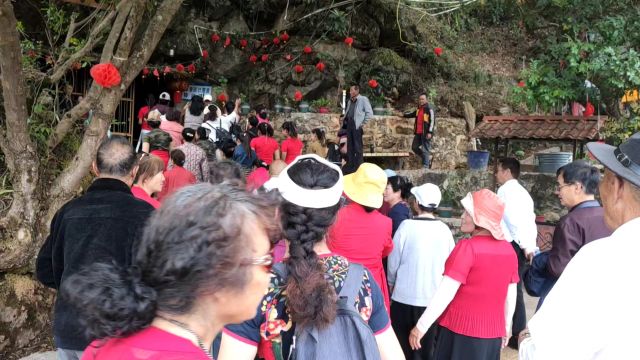 今日,山涧笑声连连,古树下新知旧友共赏风光.数个旅游团踏足此地,探秘自然之美,共赴文化之旅.欢迎加入我们,与山水间的故事不期而遇