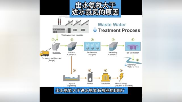 出水氨氮高于进水氨氮的原因