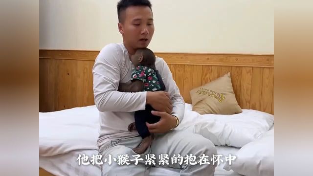 小猴子生病了,简直太可怜了