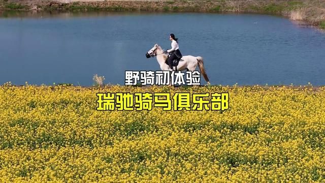 五分钟速成野骑,策马崩腾不再是梦 #瑞驰马术俱乐部 #南京老山汽摩营地 #骑马