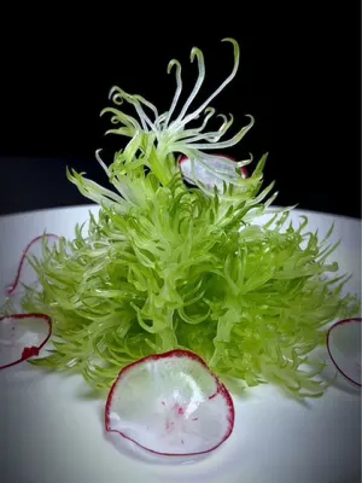 芹菜做成吃不起的样子#吃出仪式感 #果蔬造型 #芹菜 #凤尾西芹 #高手