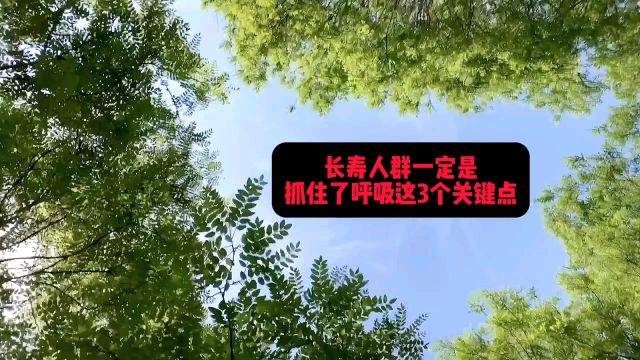 长寿的人呼吸一定不差!学会这3个关键点,不心慌气短,呼吸自由顺畅