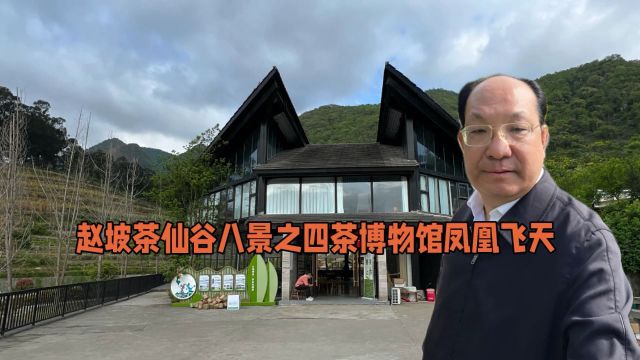 撼龙经绿水青山赵坡茶仙谷八景之四赵坡茶博物馆凤凰飞天