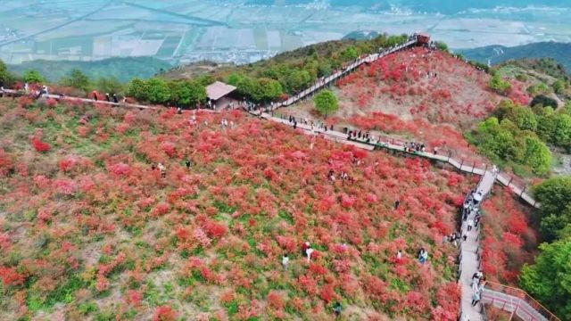 太黑了!央视曝光!瑞安有多少人为此烦恼……