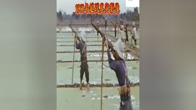 1960年越南战争抗敌真实影像,全民参战保卫家园!