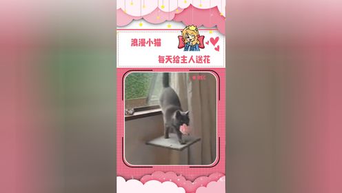 腾讯视频