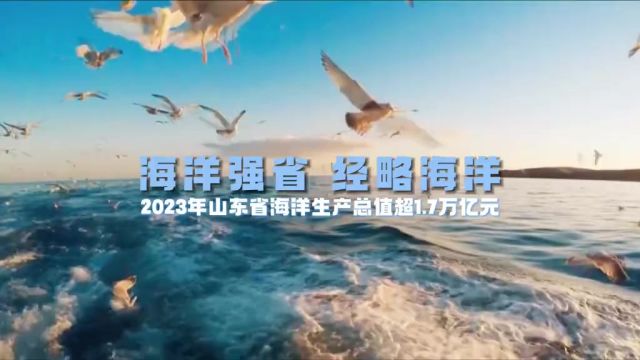 海洋强省 经略海洋丨新突破!2023年山东省海洋生产总值超1.7万亿元