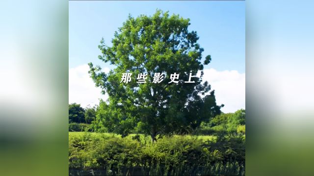 “那些影史上关于风的镜头”#电影推荐 #电影美学