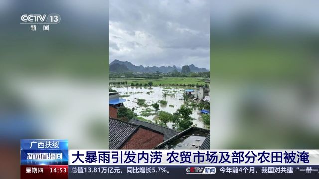 广西扶绥大暴雨引发内涝 农贸市场及部分农田被淹