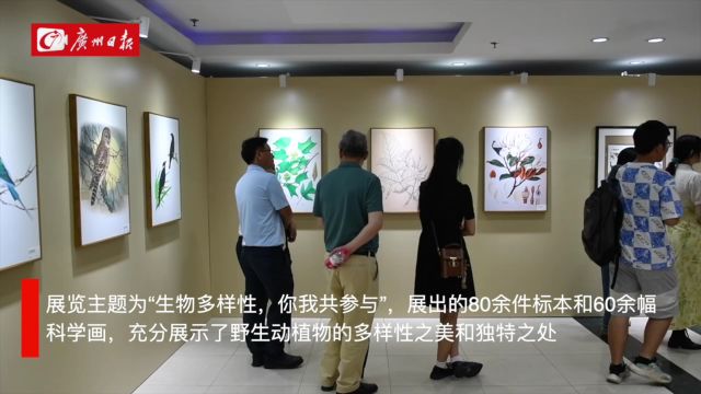 为期10天!广东省野生动植物标本和科学画展举办