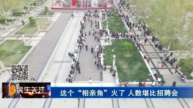 这个“相亲角”火了 人数堪比招聘会