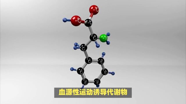 不运动也能瘦!《自然》子刊发表“神药”减肥机制研究