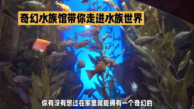 奇幻水族馆