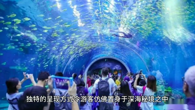 郑州海洋馆,全球新一代大型现代化水族馆,郑州亲子必玩项目