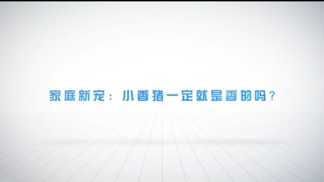 【爱宠说第一季】13期 家庭新宠小香猪