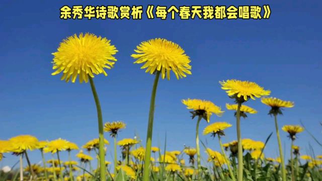 《每个春天我都会唱歌》:生命之歌的坚韧与美丽