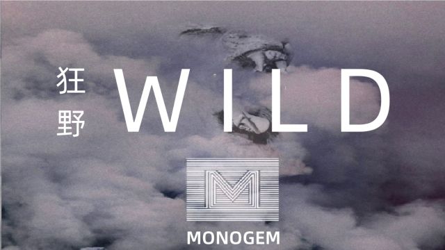 MonogemWild《狂野》英文歌曲