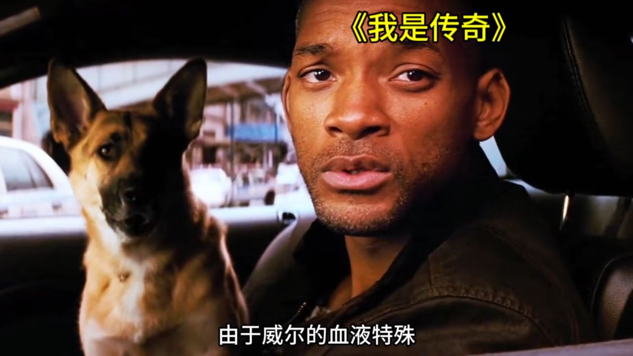 全球爆发致命病毒,只剩下一人一狗艰难求生!《我是传奇》