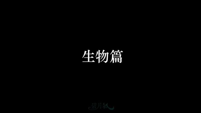 碧月狐: 而事实是...