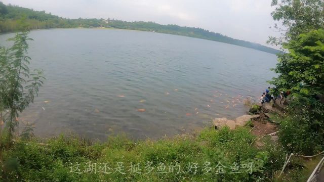 广东湛江行(64)