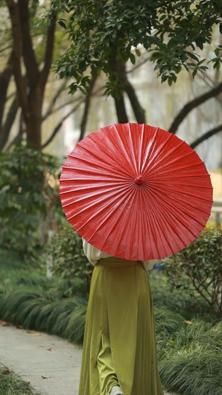 你还知道哪些撑伞名场面?#油纸伞#古风#影视剧#东方美学