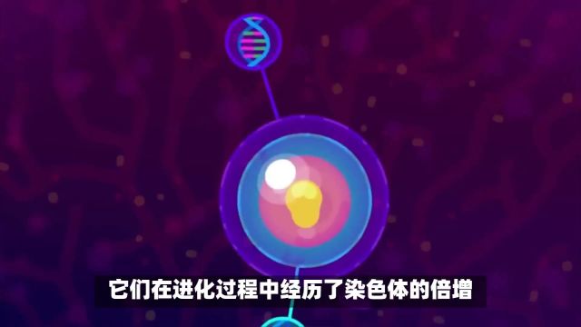 《科学》杂志新发现:癌细胞通过逆转周期导致遗传物质出错