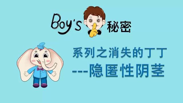 Boy's秘密系列之消失的丁丁—隐匿性阴茎