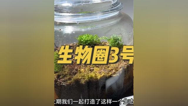 带上一句话送给3年后的自己