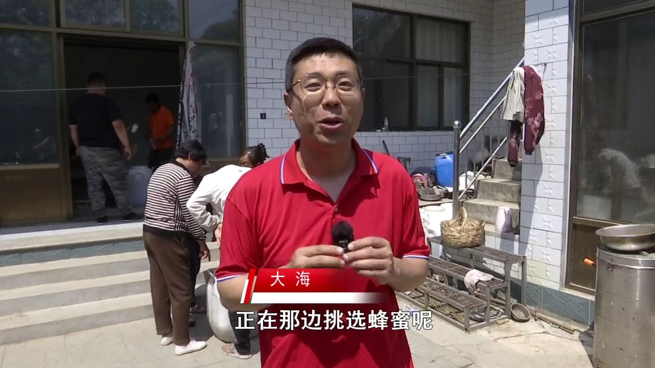 石家庄灵寿:观众踊跃购买 蜂蜜日销1500斤!