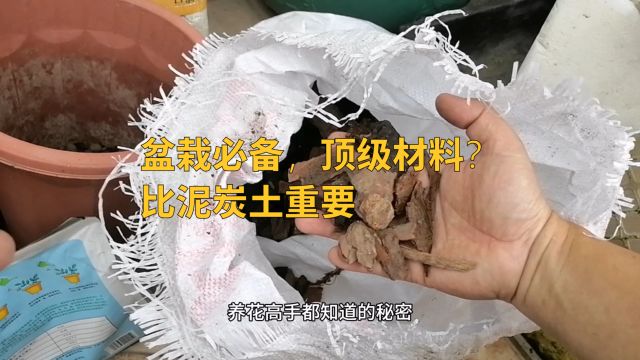 盆栽必备,顶级材料?比泥炭土重要