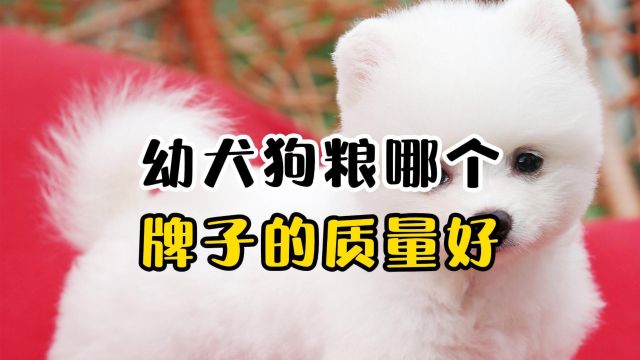 哪个品牌的幼犬狗粮好?看这篇就够了!