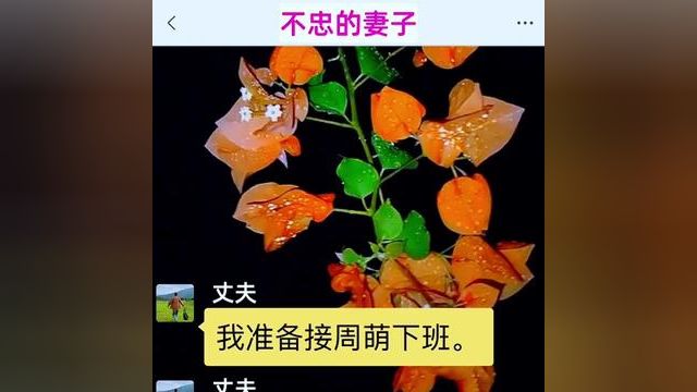 小说 #文学品读