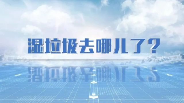 【探索】推进生活垃圾分类五年来的变化④