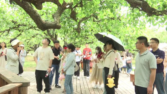 “皖工鹊桥会聚良缘”砀山县青年职工联谊暨疗休养活动圆满举办