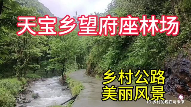 实拍湖北省十堰市竹溪县天宝乡望府座林场,一条乡村公路的美丽风景