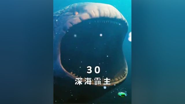 深海连接着异界,不断有巨型怪物出没,人类的深海恐惧无所遁形 #海洋怪声 #深海恐惧症 #怪兽