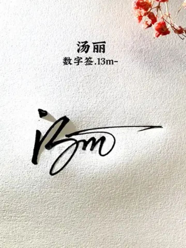 一笔带过简洁大气的连笔签名 汤丽,数字签.