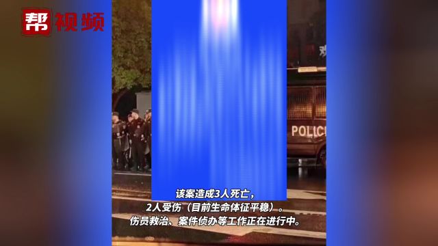 湖南郴州通报“一公园发生刑事案件” 案件造成3死2伤