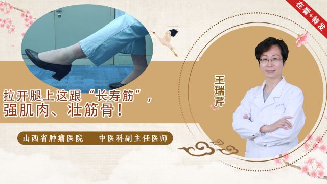 拉开腿上这跟“长寿筋”,强肌肉、壮筋骨!