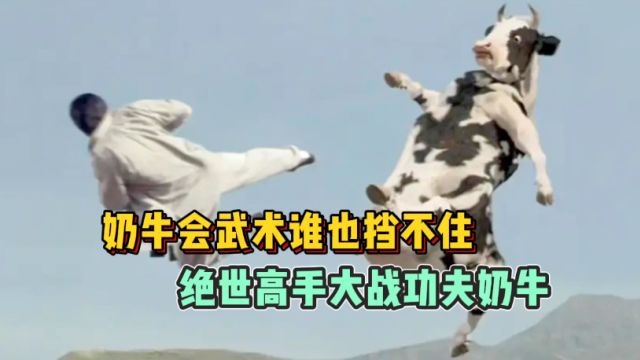 昆宝出拳:奶牛会武术谁也挡不住,绝世高手大战功夫奶牛!