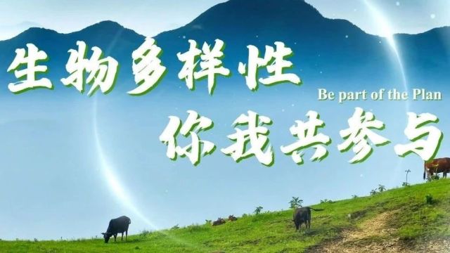 你我共参与!保护生物多样性,共绘美丽生态画卷