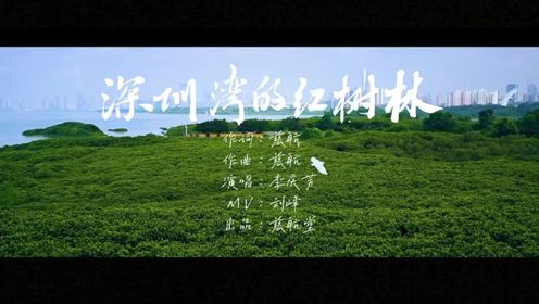 深圳湾的红树林（慈航词曲、李庆芳演唱）