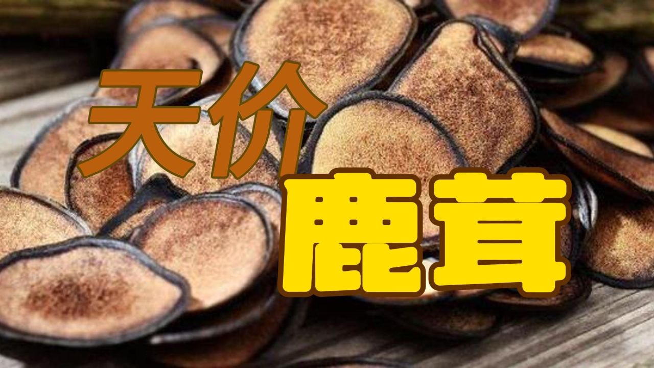 一斤鹿茸能卖上万元,他凭啥这么贵?